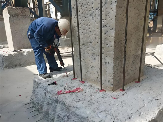 1723691609808149.jpg c335b40c-b0e6-464d-bdab-f58af54644aa.jpg