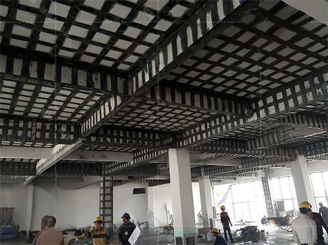 1723692192157664.jpg 581cdc99-cb70-4b6f-8e38-fb1530ff9c22.jpg